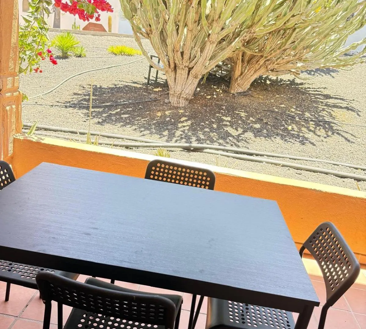 Ferienwohnung Oasis Bliss Corralejo Apartment